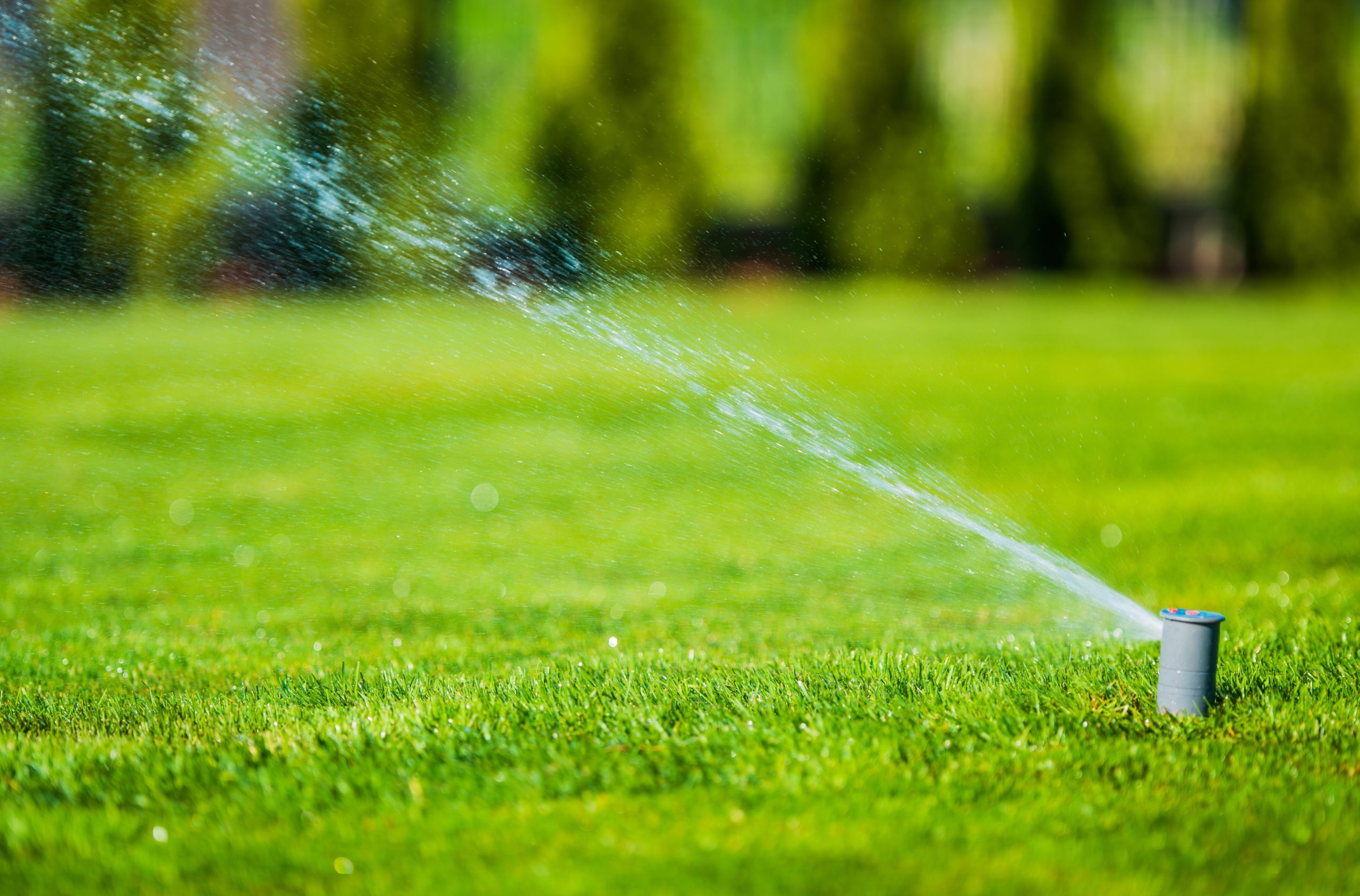 Watering and Irrigation
