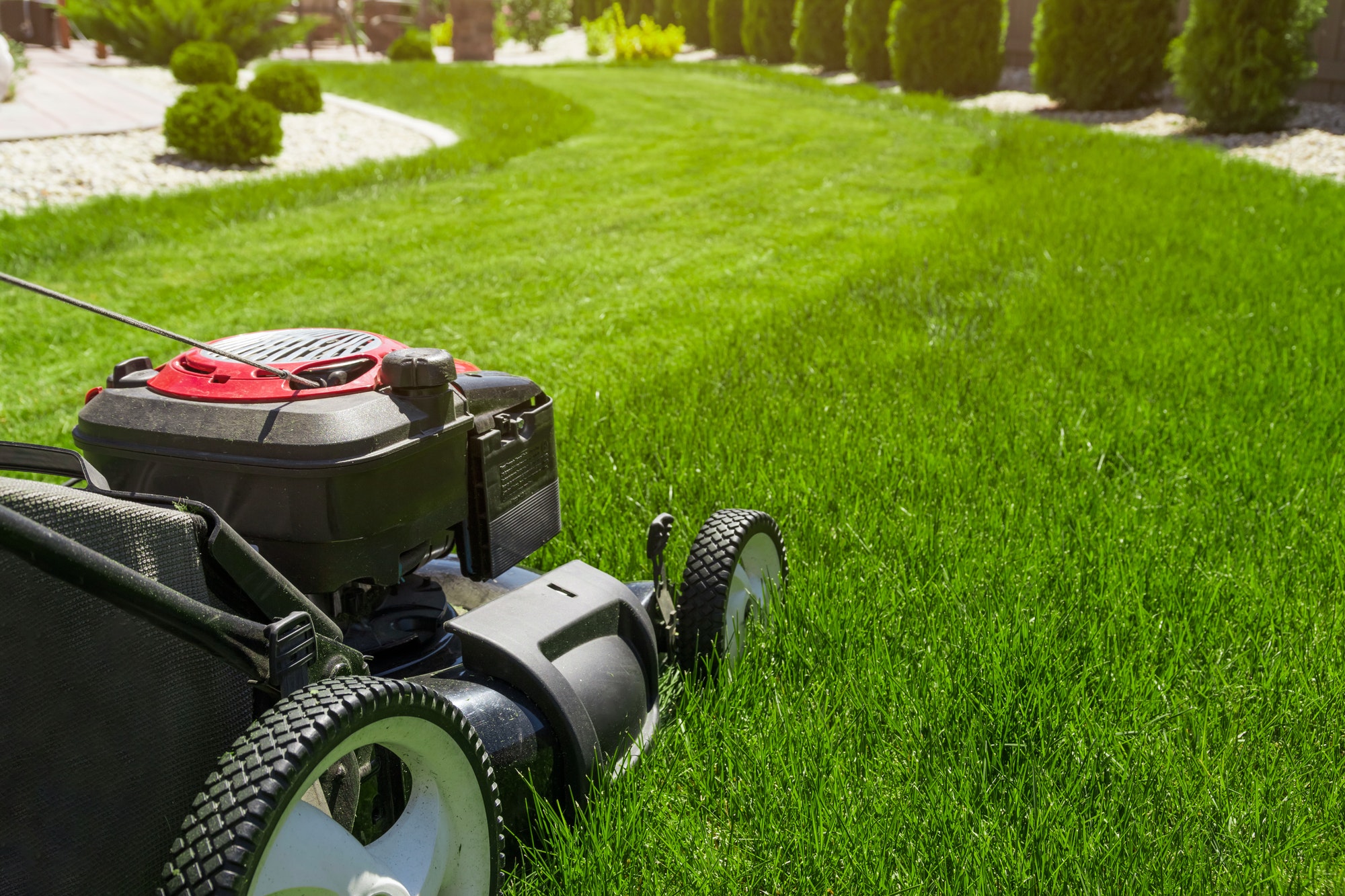 Lawn and Garden Maintenance